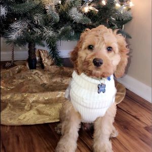 Meet your Posher, Lesley